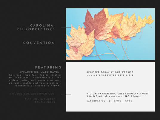 Carolina Chiropractors — Marketing Campaigns
