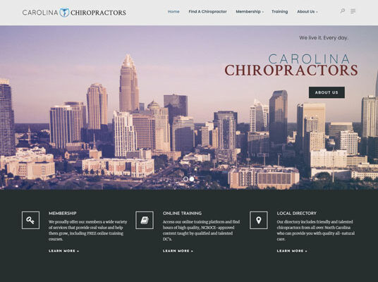 Carolina Chiropractors — Website Design