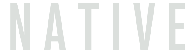 Native I.T.